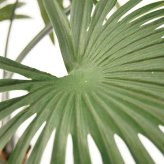 観葉植物 造花 シュロチク BROWN 全高約180cm 大型 フェイクグリーン 高級 本物そっくり リアル おしゃれ 和風 和モダン インテリア 人工観葉植物 アーティフィシャルグリーン オフィス 店舗 ホテル 旅館 開店祝い 室内 リビング 玄関 風水 棕櫚竹