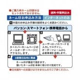ポチャッコ ネーム印 サンリオ NEOスタンペン4F キャップレス Ver.25 浸透印 4役 多機能ペン ボールペン シャープペン キャラクター グッズ ハンコ 印鑑 文房具 事務用品 TSK-34107 サンリオ正規ライセンス品