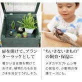 ガーデン エクステリア 木製窓付グリーンハウス （温室） 「OWN」（オウン） GRH45DGR 温室 木製 ウッド 簡易 観葉植物 多肉植物 園芸 おしゃれ 飼育 ケース 保温