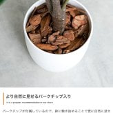 照明 ライト パキラ 観葉植物 人工 フェイクグリーン 室内 リビング オフィス 一人暮らし 緑 インテリア 光触媒 空気清浄 消臭 抗菌 防汚 ホルムアルデヒド分解 おしゃれ 高さ150cm 造花 植木 鉢植え 新築祝い 開店