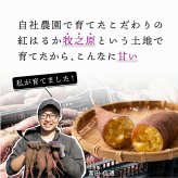 静岡県産 さつまいも 紅はるか 【内容量が選べる1kg~10kg】雑穀米本舗  送料無料 スイーツ 生芋 生 サツマイモ べにはるか 甘い 美味しい 産地直送 ギフト プレゼント