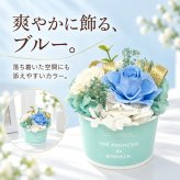 プリザーブドフラワー ギフトアレンジメントソルベ / プリザーブドフラワー バラ 花 ギフト 誕生日 母の日 敬老の日 結婚祝い 送別 新築祝い おしゃれ ケース付き / 色鮮やかなローズと上品なリボンが彩る そのまま飾れる華やかなフラワーギフト