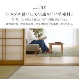 い草カーペット 清澄 せいちょう 江戸間 1畳 2畳 3畳 4.5畳 6畳 8畳 い草ラグ 天然い草100％ 掛川織 市松模様 和モダン 花ござ 上敷き 畳保護 四方縁 抗カビ 消臭 ブルー 夏用 涼感 和室 洋室 折りたたみ 調湿 さらさら 和風