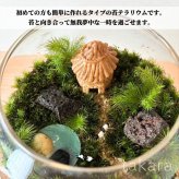 テラリウムキット 【湖がある牧場】 コケテラリウム おしゃれ 贈り物 ガラスボウル コケインテリア 母の日ギフト 手作りキット 創作キット 苔インテリア 苔リウム コケリウム 作成キット お誕生日 おうち時間 ステイホーム 敬老の日 ワークショップ 父の日 イベント