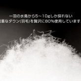 ダウンベスト ロング レディース 秋冬 ダウン ベスト ロング丈 ダウン80% ブランド Filomo ロングベスト ダウン 冬 フィローモ 軽い 暖かい インナーダウン 保温性 防寒 軽量 秋 冬 中綿 アウター ライトダウン ギフト プレゼント 5F (08000232r)