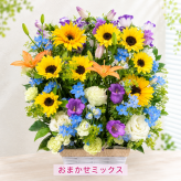 ご希望の色合いで選べる スクエアバスケットアレンジメント 高さ45cm 生花 フラワーアレンジメント 花ギフト フラワーギフト 誕生日 お祝い お見舞い 送別 季節行事 お供え お悔やみ 最短発送 送料無料【北海道・沖縄・九州・四国・中国・離島は配送不可】
