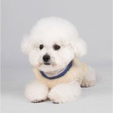 ドッグウェア冬 通販 犬の服冬用 ペットウェア 犬用ジャンパー 防寒ジャケット ハーネス付き犬服 背中開きベスト 小型犬中型犬 あったか裏起毛 中綿入りコート お散歩お出かけ 反射テープ付き 着脱簡単ウェア あたたかい 着脱簡単 ペット用品