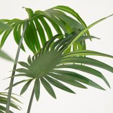 観葉植物 造花 シュロチク BROWN 全高約180cm 大型 フェイクグリーン 高級 本物そっくり リアル おしゃれ 和風 和モダン インテリア 人工観葉植物 アーティフィシャルグリーン オフィス 店舗 ホテル 旅館 開店祝い 室内 リビング 玄関 風水 棕櫚竹