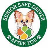 カーサイン 高齢者マーク SENIOR SAFE DRIVER パピチワ ステッカー シール 直径13cm 肉球 日本製 車