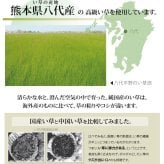 夏ラグ 夏用カーペット 純国産 い草 上敷き カーペット 麻綿織 『清正』 江戸間1畳(約88×176cm） 熊本県八代産イ草使用