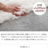 ラグ カーペット マット 洗える 変形 かわいい リビング オシャレ 北欧 マイクロファイバー キッズ 子供部屋 抗菌 ホット オールシーズン 新生活 くも 立体