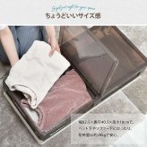 折りたたみベッド下収納ボックス　BENRY ONLS0356 2個セット 単品  リビング収納 シンプルスタイル モダン 角型 プラスチック 隙間収納幅82.5cm 奥行40.5cm 高さ18cm