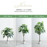 照明 ライト パキラ 観葉植物 人工 フェイクグリーン 室内 リビング オフィス 一人暮らし 緑 インテリア 光触媒 空気清浄 消臭 抗菌 防汚 ホルムアルデヒド分解 おしゃれ 高さ150cm 造花 植木 鉢植え 新築祝い 開店