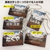 名入れ 恐竜【リアル】チャーム キーホルダー かっこいい 子供向け 5パターン