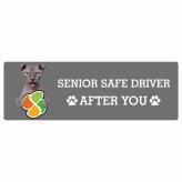 カーサイン 高齢者マーク SENIOR SAFE DRIVER ユークレニアンレフコイ ステッカー シール 長方形 20x6.7cm 肉球 日本製 車
