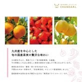 食べるフルーツティー 国産無添加 ギフトセット｜砂糖不使用 八女茶 和紅茶 ドライフルーツ 乾燥果実 フルーツティー おしゃれ お茶ギフト 誕生日 お祝い 母の日 お歳暮 お年賀 クリスマス プレゼント