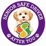 カーサイン 高齢者マーク SENIOR SAFE DRIVER ゴールデンドゥードル ステッカー シール 直径13cm 肉球 日本製 車