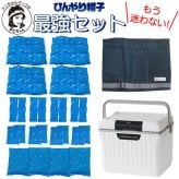 アニちゃんマークのひんやり帽子最強セット【本体＋冷却ジェル＋保冷剤＋クーラーボックスセット】かぶる氷枕 頭 冷やす グッズ 熱中症対策 暑さ対策 冷却帽子 高齢者 氷嚢 頭を冷やす帽子 冷却用帽子 保冷シート ひんやりぼうし 冷却グッズ 帽子の中 大人用 送料無料