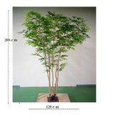 大型グリーン　施工商品　　　　特注モミジスタンド5本組