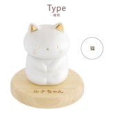 【 送料無料 】【 名入れ ペットちゃんの骨壺 】 名前入り ペット 骨壷 おしゃれ ミニ 可愛い 名入り ミニ骨壷 人気 陶器 動物 納骨 分骨 虹の橋 猫 犬 鳥 うさぎ メモリアルグッズ 遺骨 遺毛 遺品 入れ物 置物 ケース 仏壇