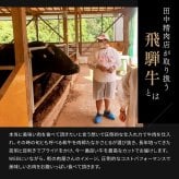 御中元 肉 ギフト【飛騨牛 カタログギフト 15000円】お肉 ギフト カタログ しゃぶ しゃぶしゃぶ すき焼き ステーキ肉 国産 高級 和牛 焼肉 ギフトボックス 牛肉 食べ物 グルメ 誕生日 プレゼント 飛騨牛ステーキ 黒毛和牛 ギフト券 内祝い