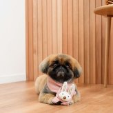 DADWAYPET ダッドウェイペット FAD ファッド ノーティードッグ・トイ マフラー ラビット 犬用おもちゃ