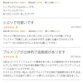 ハワイアンジュエリー ピアス ハワイアン ピアス プルメリアピアス 花 8mm ジルコニア シルバー925 ロジウムコーティング フックピアス キャッチ メール便 彼女 妻 女性 レディース 誕生日 プレゼント ハロウィン 【品番：SE10301】