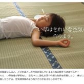 夏ラグ 夏用カーペット 純国産 い草 上敷き カーペット 糸引織 『梅花』 六一間2畳(約185×185cm）