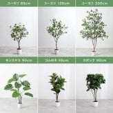 【高さ170cm】光触媒人工観葉植物 オリーブ 幅70cm×奥行60cm×高さ170cm オフィス 天然木 ポリエステル 組立品 お部屋に気軽に飾れて空間を美しく彩るフェイクグリーン 本物の植物のようなリアルな質感とインテリアに馴染む風合いが魅力です