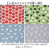 ランチクロス お弁当包み 通販 ランチョンマット くっつくランチクロス ランチラッパー お弁当袋 ランチバッグ 小学生子供 ノーアイロン 北欧カラー ピタッと密着 ペットボトルホルダー 遠足 お弁当グッズ 便利グッズ 幼稚園保育園 通勤通学