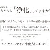 パワーストーン 簡単 浄化セット 入れ 置き皿 浄化皿 パールシェル 選べる6種のさざれ イケチョウ貝 器 浄化 グッズ 2点セット ブレスレット ピアス ネックレス の浄化用 天然水晶 空間浄化セット 玄関用 部屋用 置物 厄払い 女性 男性 厄年 プレゼント