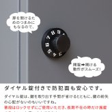 ガーデン エクステリア 木目調フラップ壁掛けポスト En エン PST-003