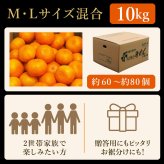 みかん 10kg 贈答用 秀品 特選 送料無料 和歌山 M L 伊藤農園 大玉 中玉 手詰め 有田みかん 温州みかん 約60個～80個 果物 柑橘出産内祝い 贈答 ギフト 誕生日 結婚祝い 出産祝い 内祝い ギフト