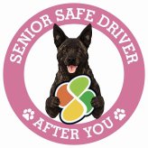 カーサイン 高齢者マーク SENIOR SAFE DRIVER 甲斐犬 ステッカー シール 直径13cm 肉球 日本製 車