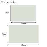 ラグ カーペット 玄関 マット 室内 おしゃれ 日本製 国産 い草 自然素材 カラフル カジュアル 約60×90cm