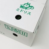 クラピア K5 薄桃品種 10株 土壌改良セット 植栽マニュアル付き 苗10ポット 肥料活力剤土壌改良剤3種 イワダレソウ改良種 グランドカバー 植物 プランツ 薄ピンクの花 庭 屋上緑化 K7と同程度の耐寒性 多年草 地被植物 ほふく性 下草 背が低い 宿根草