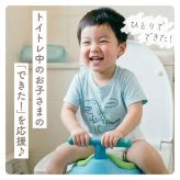 流せるおしりふき 純水99％ 厚手 極厚 蓋つき 9個セット 新生児 肌にやさしい 70枚 × 9個 セット 水分たっぷり WT005