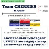 ゴルフウェア メンズ 名入れ ポロシャツ 【名前入り ドライポロシャツ「バックデザイン」】 退職祝い ゴルフグッズ オリジナル 半袖 ポロ 名前入り メンズ 男性 男女兼用 おしゃれ S M L LL XL 吸汗 速乾 ゴルフウェア ダウンボタン 4.4オンス 還暦 古希 喜寿 敬老の日 父の日 20代 30代 40代 50代 60代 70代 GHOGolf NEW25