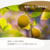 べろべろれもん酒 720ml 平田酒造場 果実酒 お酒 レモン あらごし 果肉 粒々 リキュール 檸檬 れもん 酒 贈り物 おしゃれ かわいい 地酒 リキュール プレゼント 飛騨高山 送料無料 ギフト 夏ギフト 敬老の日 お取り寄せ 内祝い 産地直送 岐阜 ぎふまる