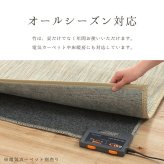 ラグ カーペット バンブー 竹 グラデーション 抗菌防臭 消臭 夏 オールシーズン 滑り止めシート付き 約140×200cm