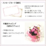 【送料無料】森林の香りたっぷり 生花もみの木リース ４５cm クリスマスリース 生 もみの木 完成品 【ボリュームたっぷり】