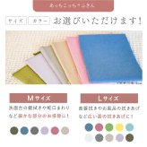 ふきん テイジン あっちこっちふきん Mサイズ 33×22cm 1枚 単品 薄手 日本製 帝人 ミクロスター 吸水 速乾 洗剤不要 キッチンクロス 食器拭き 台拭き 掃除クロス 水拭き シンク 洗面台 蛇口 鏡 窓ガラス 家電 ホコリ取り ピンク ブルー グレー ベージュ ラベンダー カーキ 新生活 引っ越し祝い プレゼント ギフト
