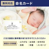 【送料無料】 柔らかおつまみ12選 古伊万里浪漫 創業120余年の海鮮珍味メーカーがお届けする逸品【熨斗/ギフト包装】 誕生日 お歳暮 退職祝い 内祝い 海鮮 珍味 高級 おつまみセット 常温保存OK お酒に合う 酒の肴 詰め合わせ お返し 冬ギフト クリスマス お年賀 祖父 祖母 父 母 父親 母親 男性 グルメ いわし いか