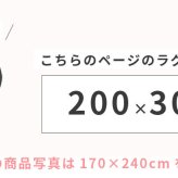 ラグ カーペット インド織 ウール100% 手織り 200×300cm ギャッベ 幅200 ウール 羊毛 四角 角形 オールシーズン マット センター グラデーション リビング ごろ寝マット 新生活 おしゃれ