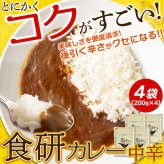 日本食研 レトルト 食研カレー 4食 レトルトカレー 温めるだけ 惣菜 おかず ご飯のお供 ポスト投函便