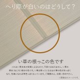 置き畳 半畳 国産 い草 簡単 和室 約82×82cm 4枚組