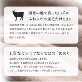 カシミヤ 100％ アームウォーマー レディース プレゼント リブ編み ハンドウォーマーカシミヤ100% カシミア ロング 防寒 女性 婦人 スマートフォン対応 スマホ手袋 暖かい てぶくろ ラッピング無料 アルカディアルカ arcadiarca ギフト