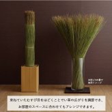 国産 日本製 い草 インテリア オブジェ 消臭 空気清浄 ナチュラル 植物 置物 95×10cm