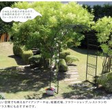 フェンス ワイドアイアンアーチ 送料無料 ダークグリーン アイアン アーチ 門 木製 バラ 薔薇 フェンス おしゃれ 小型 北欧 ガーデニング 屋外 家具 ツタ 蔦 エントランス エクステリア ロマンチック トレリス 園芸支柱 つるバラ 誘引 黒 仕切り