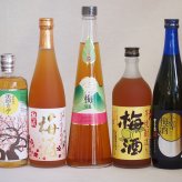 カラフル梅酒5本セット(芋焼酎仕込五代梅酒(鹿児島) 高千穂産梅使用熟成梅酒 手作り梅酒(宮崎県) 樽熟梅酒天空の月(大分) 無添加上等梅酒(鹿児島)) 720ml×5本